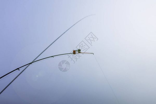 在河中弃置的鱼饲料钟声在框架中央高清图片