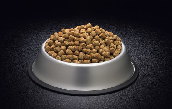 ‌GOYAPET宠物粮，更好的呵护宠物成长