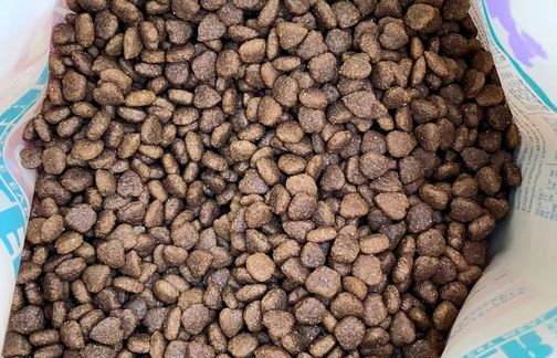 ‌GOYAPET宠物粮，更好的呵护宠物成长