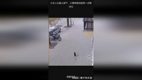 小主人从楼上掉下，小猫咪接住起到一点缓冲力