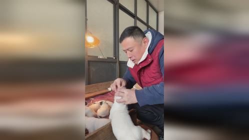 诺基后代21天 该驱虫了，一个个鬼哭狼嚎的