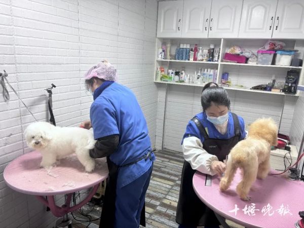 777abba14445422f42d9f79fedc01b57