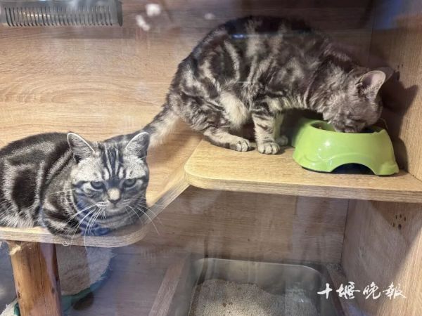 47ab83c98e9cf93a50f3e10640f4bffe