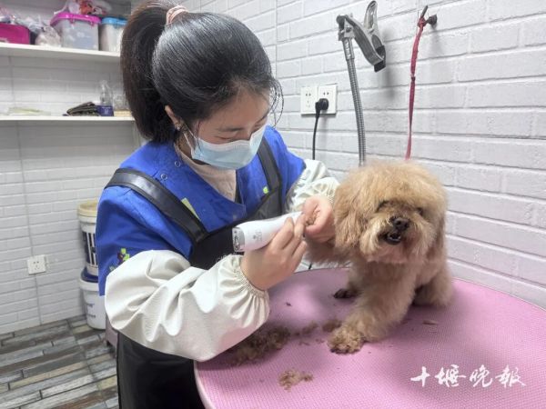 444097083dedd0a1fddf0639028af085