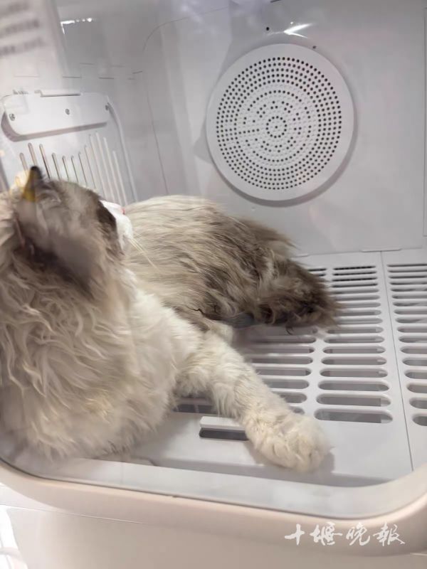 65a4e6064040c50266904a52f974d0e4