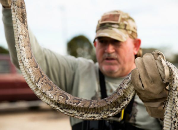 埃里克，“沼泽猿人”中的一员，手里抓着一条蟒蛇