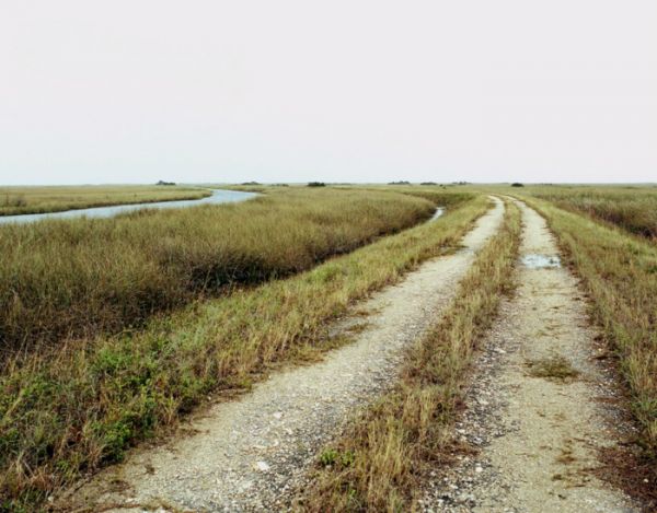 出太阳时，河堤是寻找蟒蛇的绝佳地点