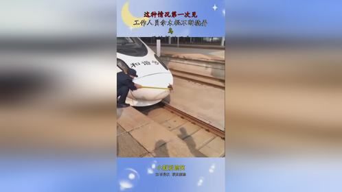 这种情况第一次见，工作人员拿木棍不断撬弄，鸟：最绝望的死亡！