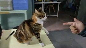 养宠蛇,价格亲民,快来领养!