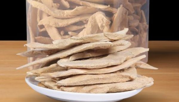 泰格宠物食品:为爱宠提供营养与健康