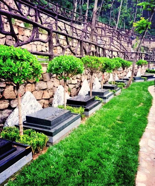 声景革命：善寿园风铃谷与鸟鸣生态系统的自然交响曲