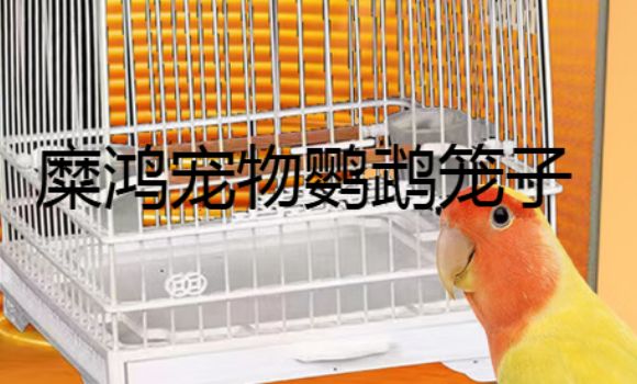 糜鸿宠物鹦鹉笼子用什么消毒
