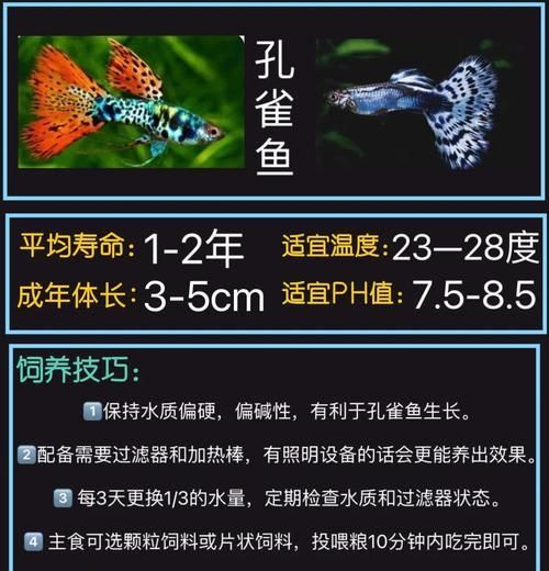 如何提高孔雀鱼的繁殖能力？