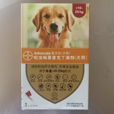 猫狗驱虫药的选择和使用