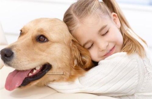 如何自我监测宠物猫狗的健康体温?