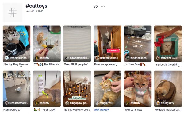 又一跨境品牌爆火，仿生宠物玩具成热门，在TikTok年收超300万美金！