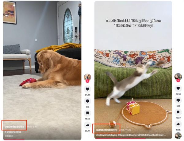 又一跨境品牌爆火，仿生宠物玩具成热门，在TikTok年收超300万美金！