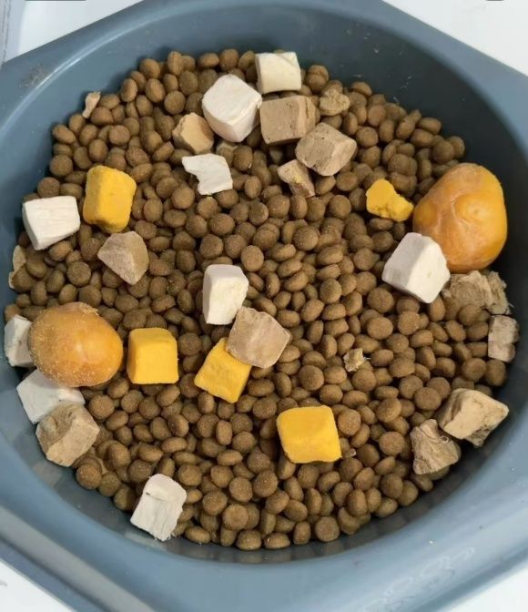 狗粮哪个牌子好又安全又便宜?这5个品牌可以看看