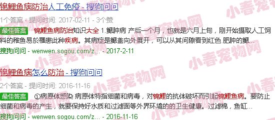 锦鲤鱼病防治大全自查图册