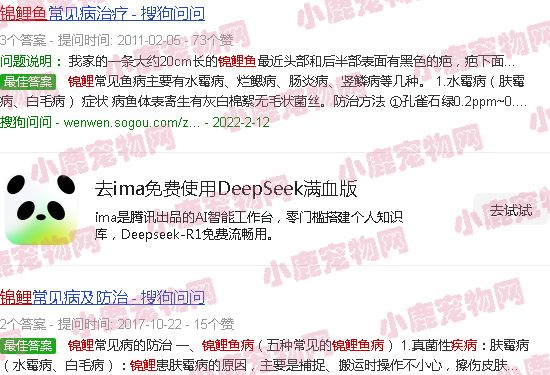 锦鲤鱼病诊断及用药