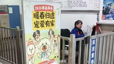 上海春运不忘毛孩子，宠物猫犬有专属交通方案