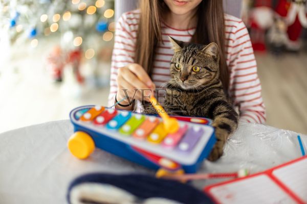 女孩抱着宠物猫玩乐器照片摄影图片