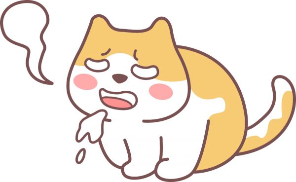 猫咪呕吐怎么办