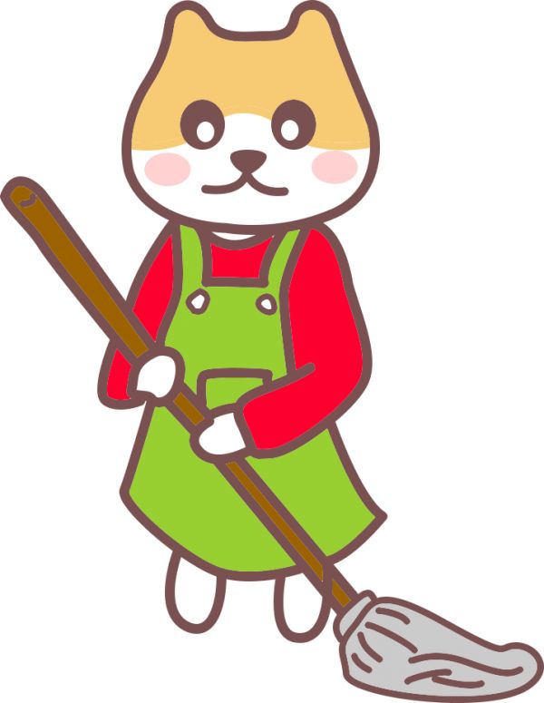 新手养猫必备常识