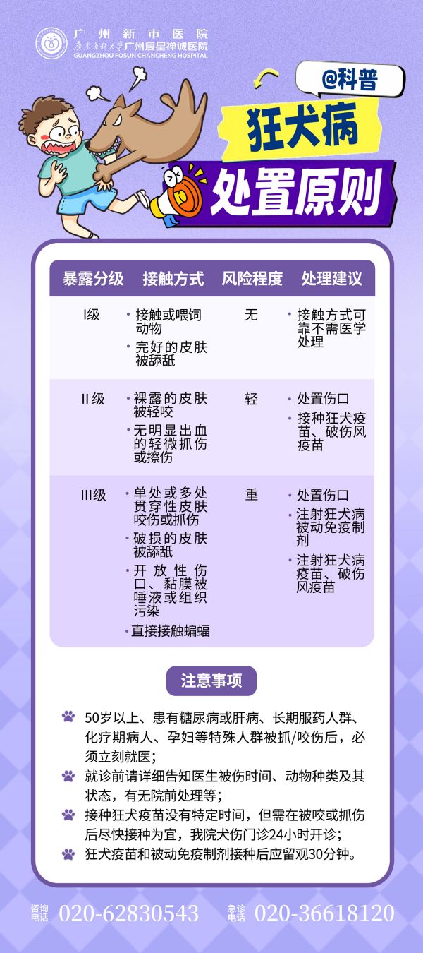 “撸猫”需谨慎!接诊400+例,医生紧急提醒→