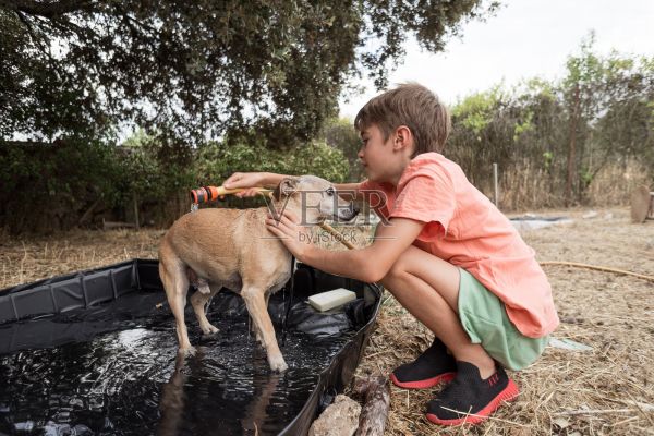 夏日里，一个小男孩在户外给狗狗洗澡照片摄影图片
