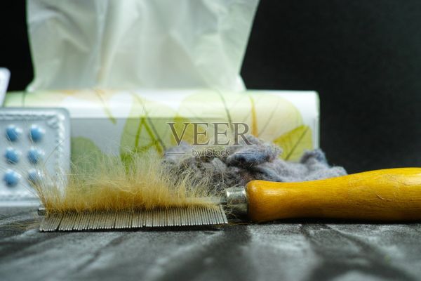 缓解过敏的概念，家中宠物的毛发和灰尘为过敏原照片摄影图片