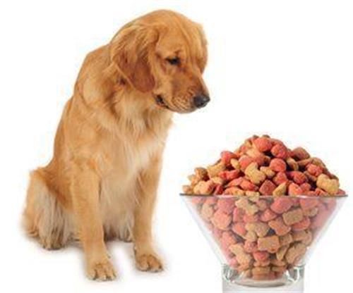 狗狗断奶后喂成犬粮，最佳生育期产小狗