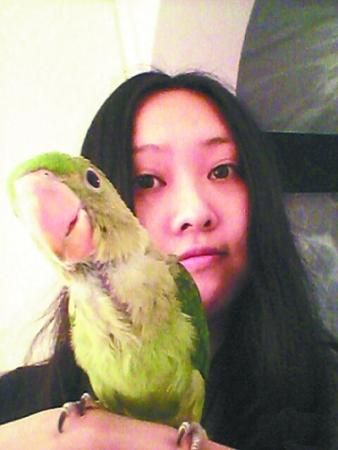 楼上装修特别吵 楼下小鸟跟着学