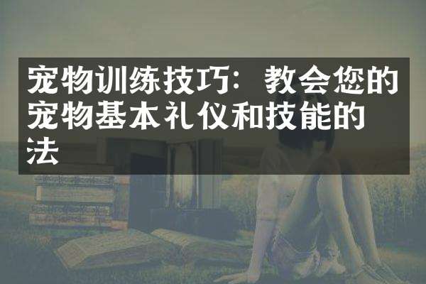 宠物训练技巧：教会您的宠物基本礼仪和技能的方法