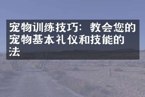 宠物训练技巧：教会您的宠物基本礼仪和技能的方法