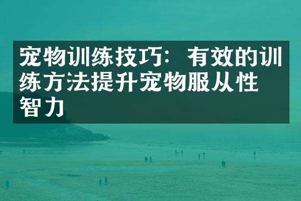 宠物训练技巧：有效的训练方法提升宠物服从性与智力