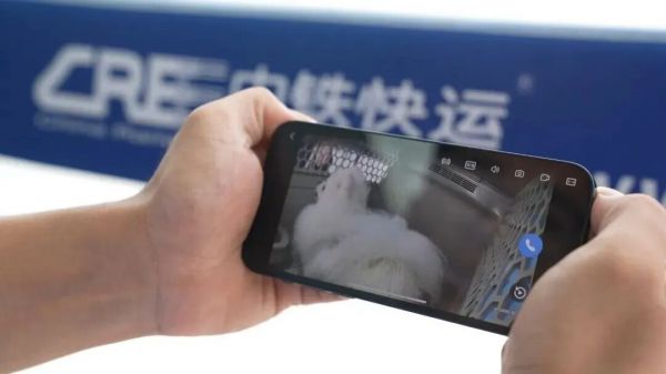 收藏!110个宠物托运车站全名单