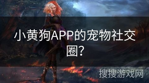 小黄狗APP的宠物社交圈？