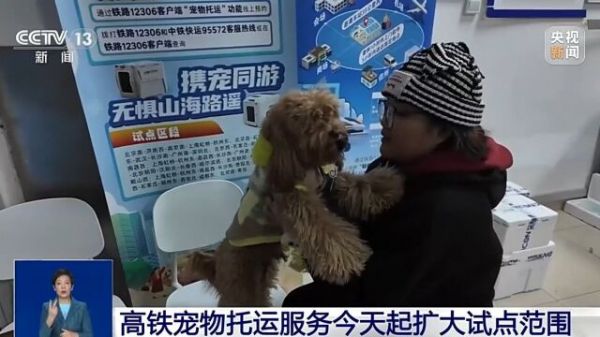 Thumbplayer Poster Plugin Image