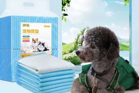 国产平价宠物尿垫选购指南:高性价比品牌推荐