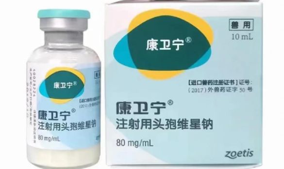 宠物皮肤病怎么治疗？康卫宁（注射用头孢维星钠）一阵即可见效