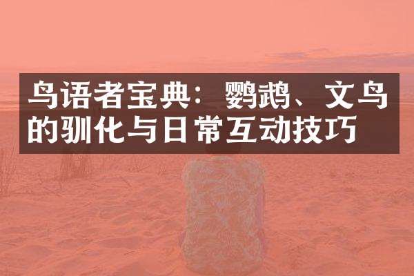 鸟语者宝典：鹦鹉、文鸟的驯化与日常互动技巧