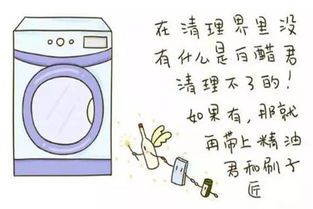 “宠物窝清洁秘籍，一招搞定！”