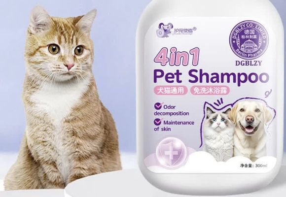 冬天狗子洗澡容易感冒怎么办?北方宠主过冬回购清单必有护宠使者