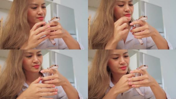 亚洲年轻女性在家厨房里和她的豹纹壁虎玩耍。迷人的女性享受与她的宠物蜥蜴共度闲暇时光。宠物友好与互动的