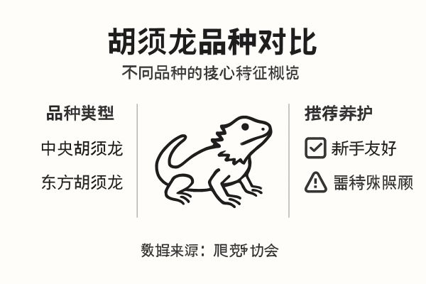 胡须龙品种对比一览图