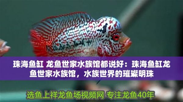 珠海鱼缸 龙鱼世家水族馆都说好：珠海鱼缸龙鱼世家水族馆，水族世界的璀璨明珠
