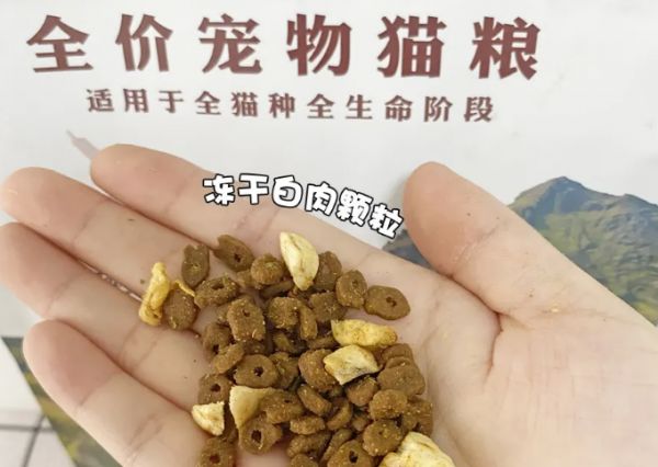 它它食食猫粮怎么样？速来了解