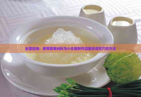 全面指南：使用简单材料为小仓鼠制作温馨舒适窝穴的方法