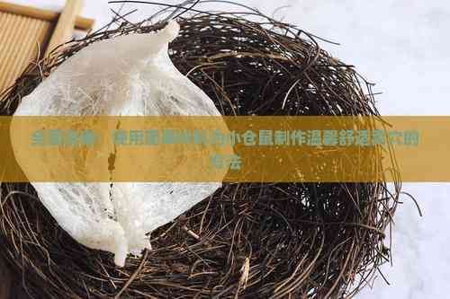 全面指南：使用简单材料为小仓鼠制作温馨舒适窝穴的方法